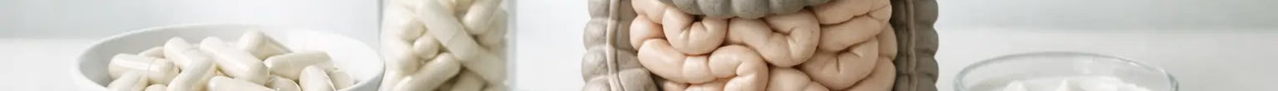 Digestive Enzyme Benefits Explained