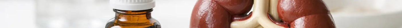 Lespefril® Is Used to Support Kidney Function
