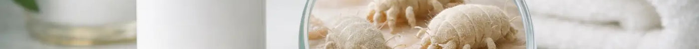 Antiscabiosum® 25% Emulsion: A Topical Antiparasitic
