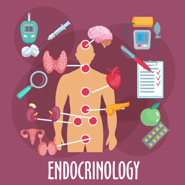 ENDOCRINOLOGY