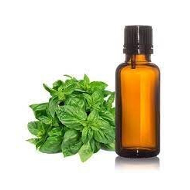Basil Essential Oil 10 ml
