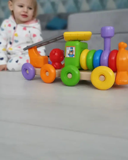 Educational Toy "Funny Train", Tigres