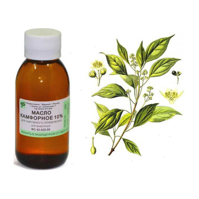 Bottle of camphor oil with a botanical illustration on a white background