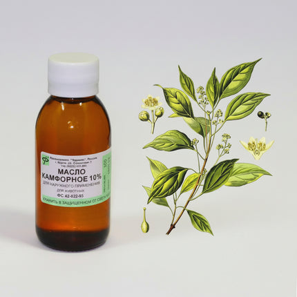 Camphor Oil is a&nbsp;natural essential oil valued for its cooling, soothing, and stimulating properties. Commonly used in aromatherapy and topical care, it helps relieve muscle and joint discomfort, reduce inflammation, and support respiratory comfort during congestion.