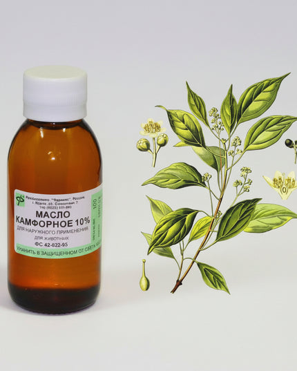 Camphor Oil is a&nbsp;natural essential oil valued for its cooling, soothing, and stimulating properties. Commonly used in aromatherapy and topical care, it helps relieve muscle and joint discomfort, reduce inflammation, and support respiratory comfort during congestion.