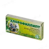 Box of Chlorophyllipt tablets with a green and white color scheme and an image of a plant on the packaging.