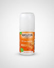 Sea Buckthorn