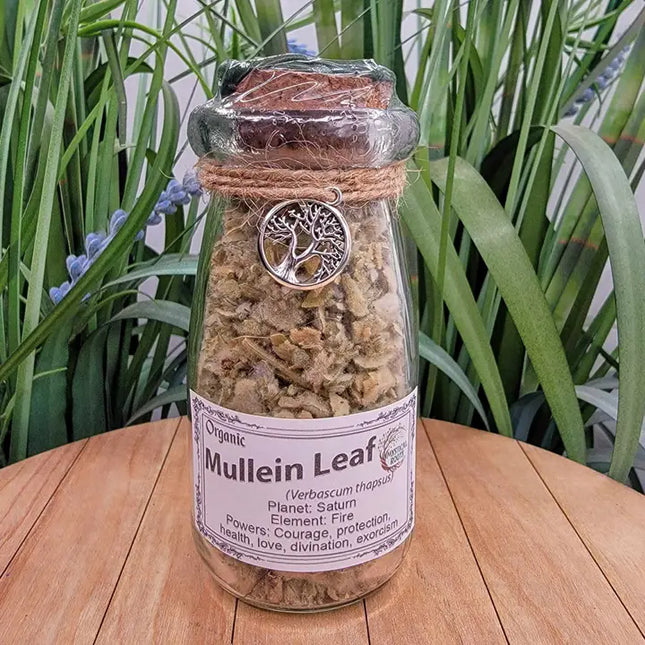Glass jar labeled 'Mullein Leaf' with a tree of life symbol on a wooden surface with plants in the background.